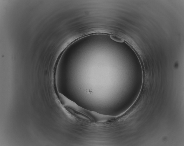 X0000094810898200711241443