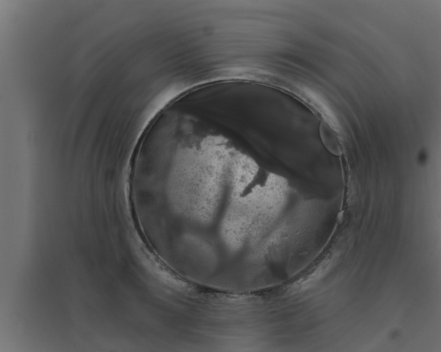 X0000094810899200711241443