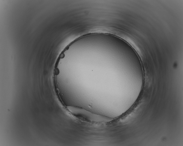 X0000094810901200711241443