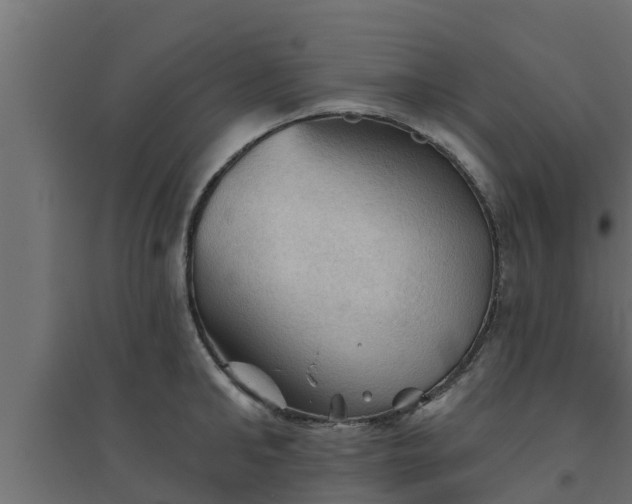 X0000094810902200711241443