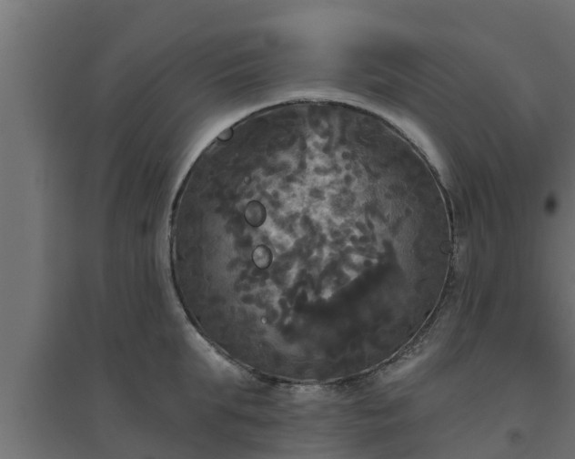 X0000094810903200711241443