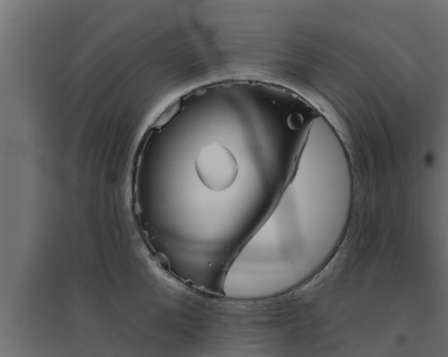 X0000094810904200711241443