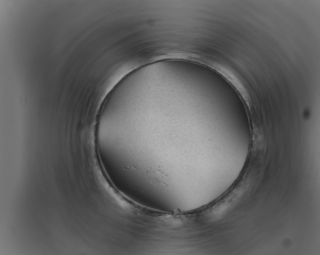 X0000094810906200711241443