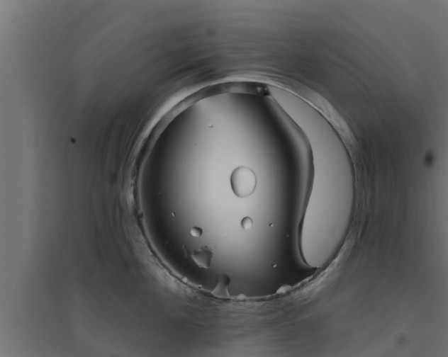 X0000094810908200711241443