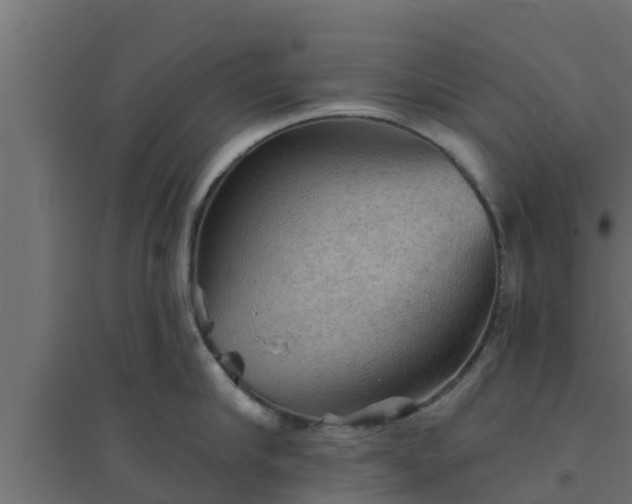 X0000094810910200711241443