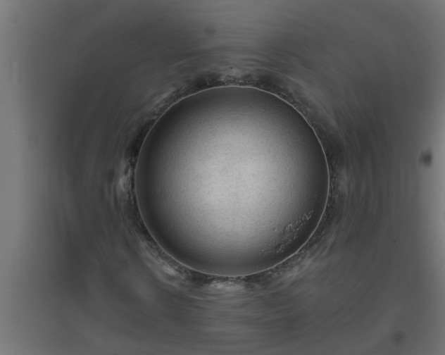 X0000094810914200711241442