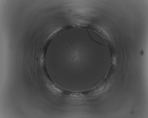 X0000094810915200711241442