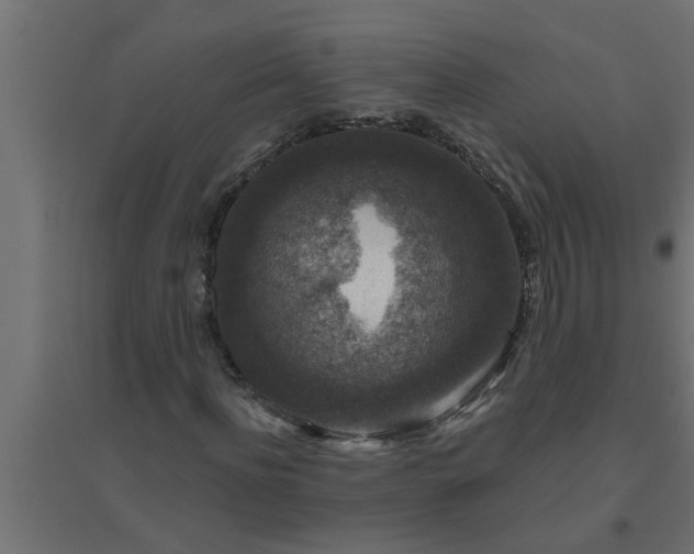 X0000094810916200711241442