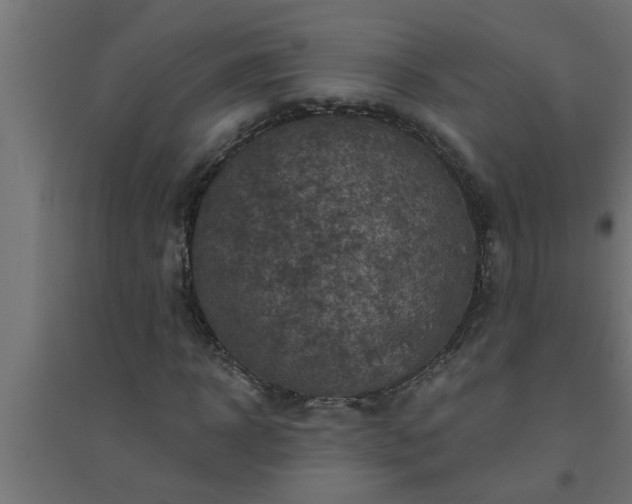 X0000094810918200711241442