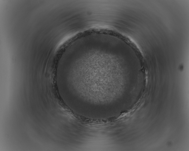 X0000094810919200711241442