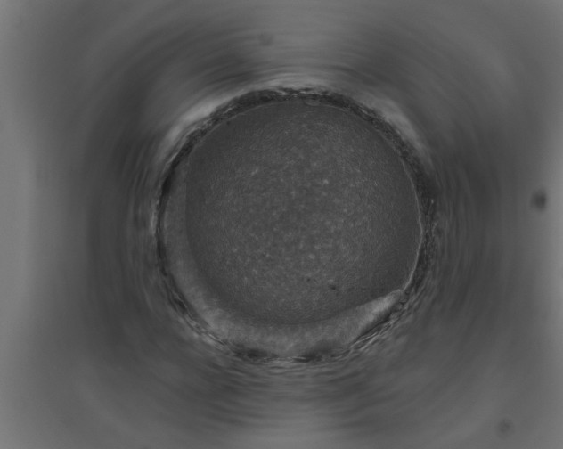 X0000094810920200711241442