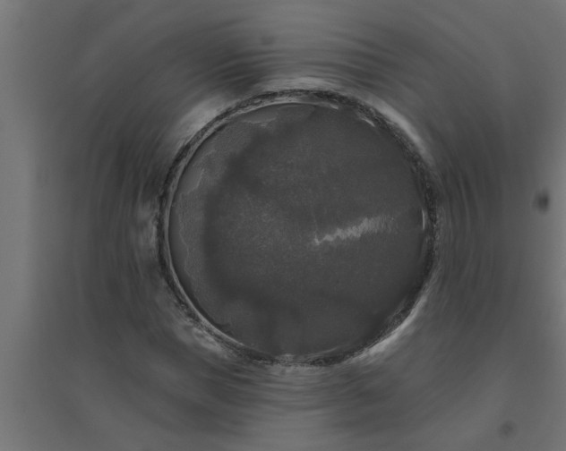 X0000094810921200711241442