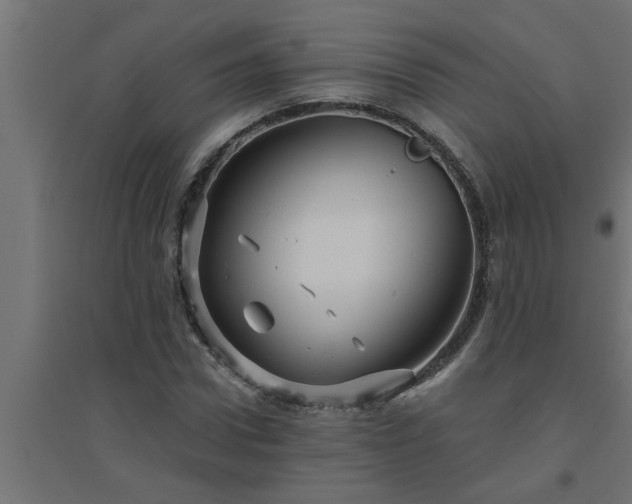 X0000094810922200711241442