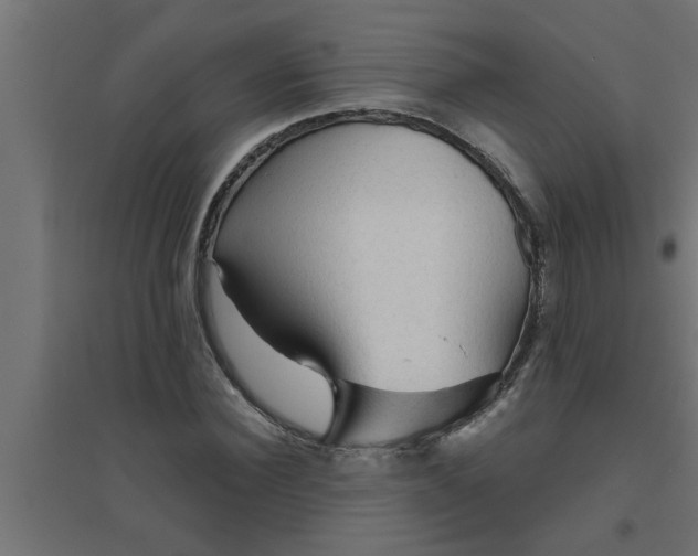 X0000094810924200711241442