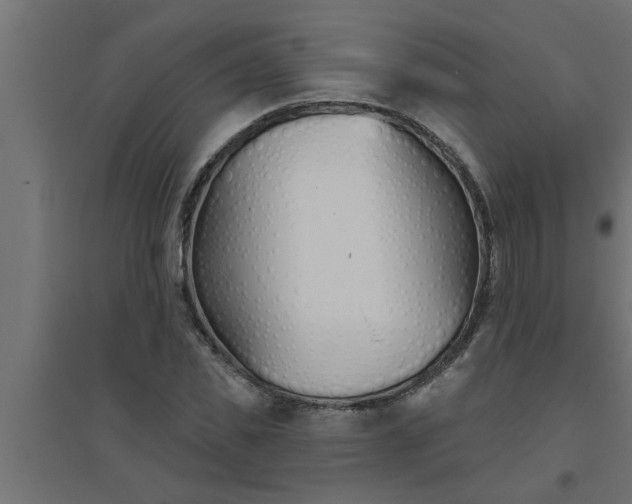 X0000094810925200711241442