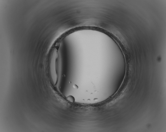 X0000094810926200711241442