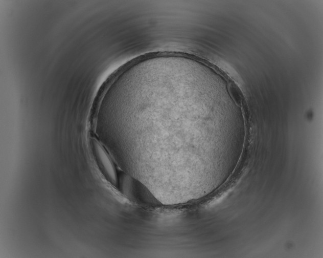 X0000094810928200711241442