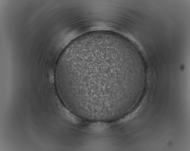 X0000094810929200711241442