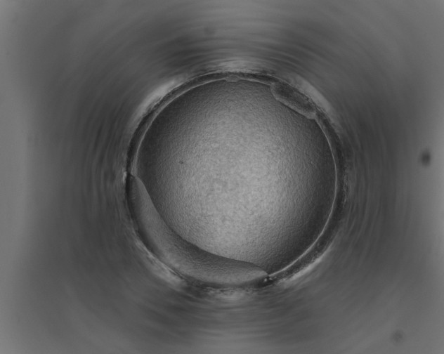 X0000094810930200711241442