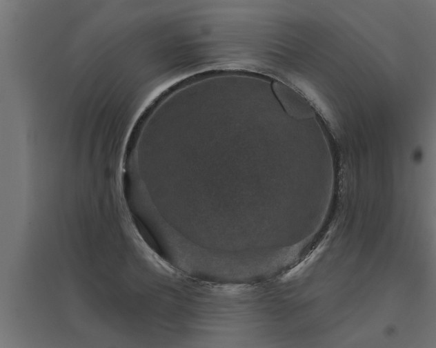 X0000094810932200711241442