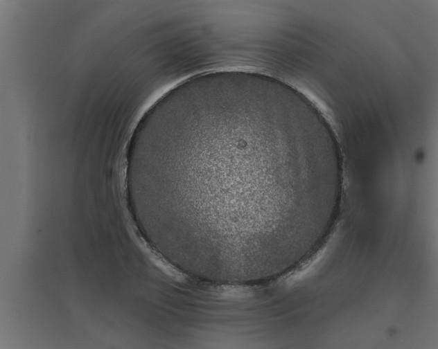 X0000094810933200711241442