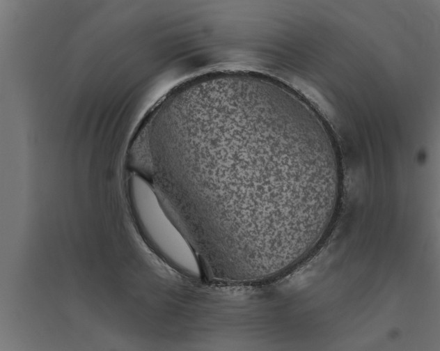 X0000094810934200711241442