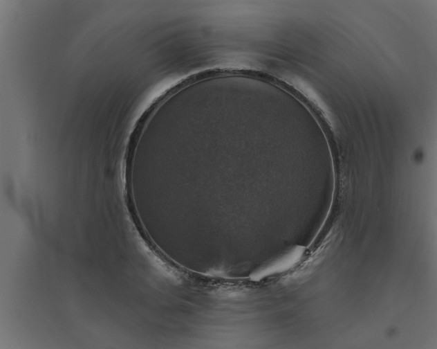 X0000094810935200711241442