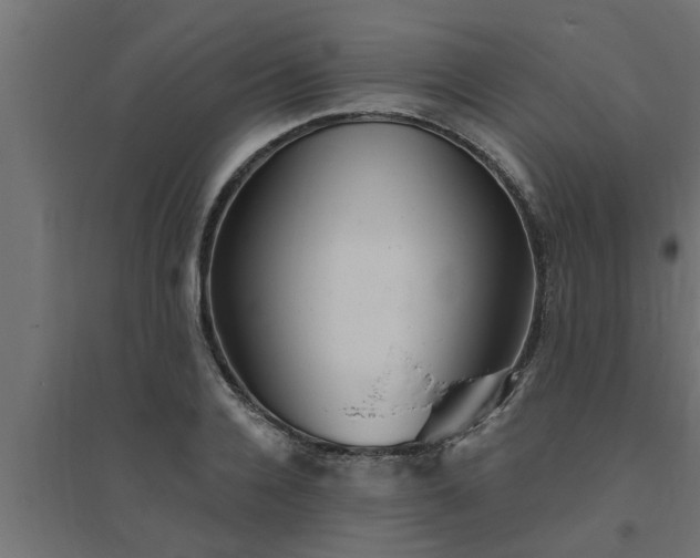 X0000094810936200711241442