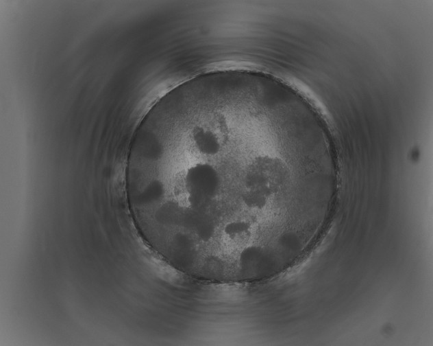 X0000094810937200711241442