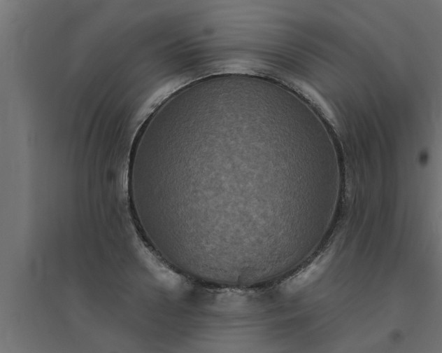 X0000094810938200711241442