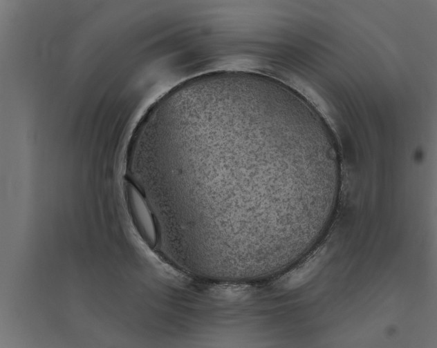 X0000094810939200711241442