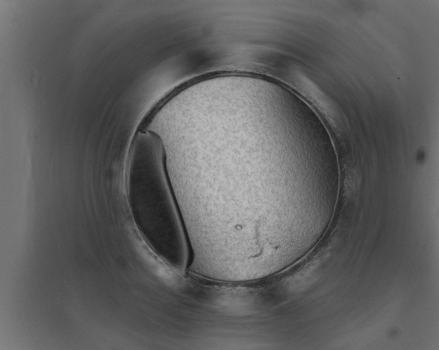 X0000094810940200711241442