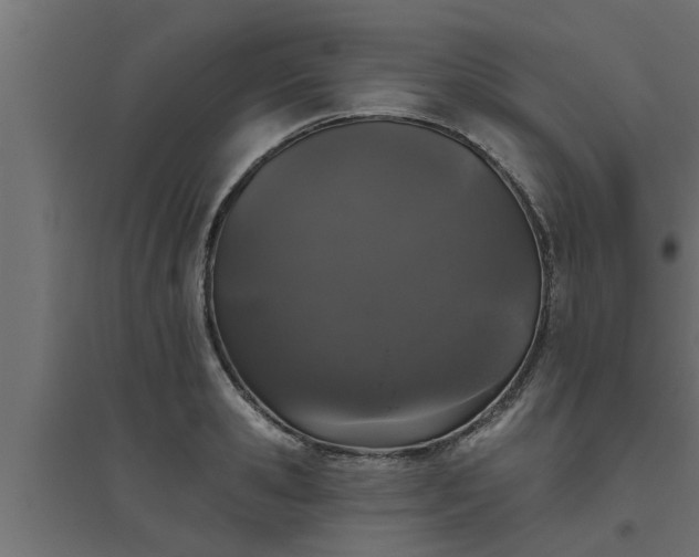 X0000094810941200711241442