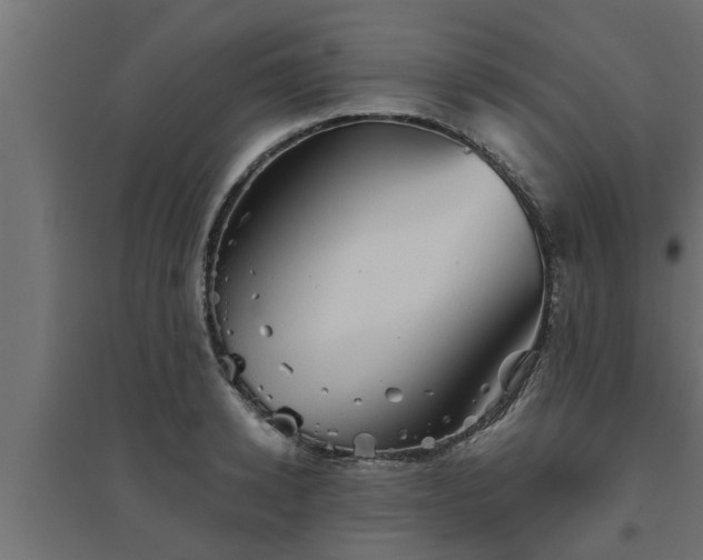 X0000094810942200711241442