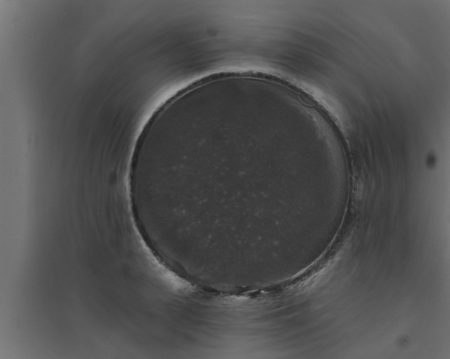 X0000094810943200711241442