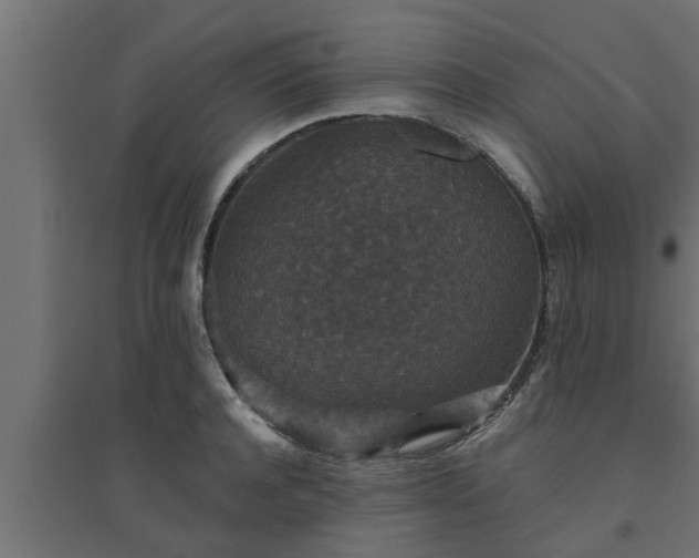 X0000094810944200711241442