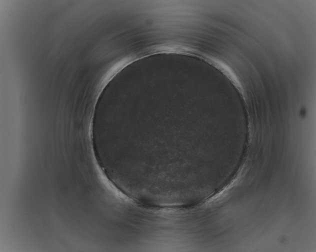 X0000094810946200711241442