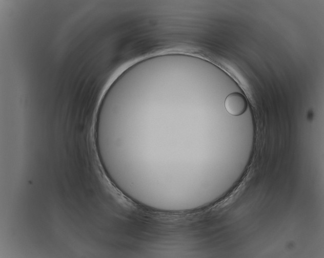 X0000094810948200711241442