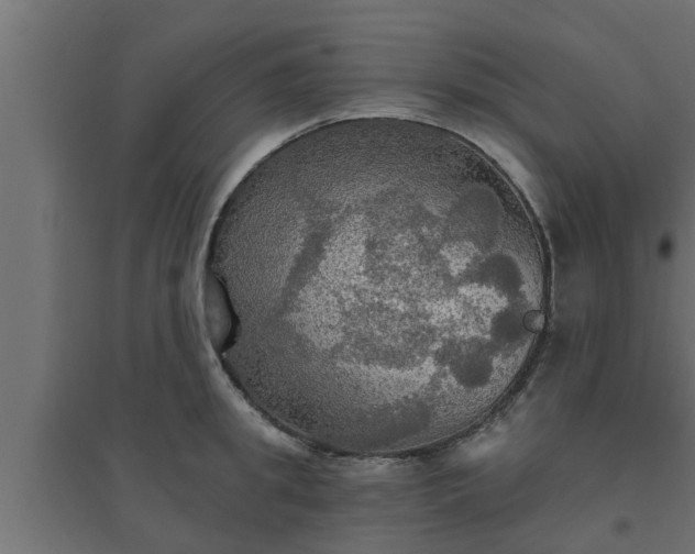 X0000094810949200711241442