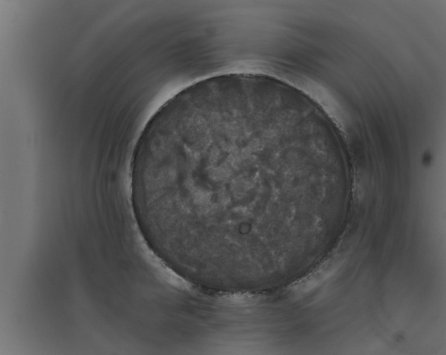 X0000094810950200711241442