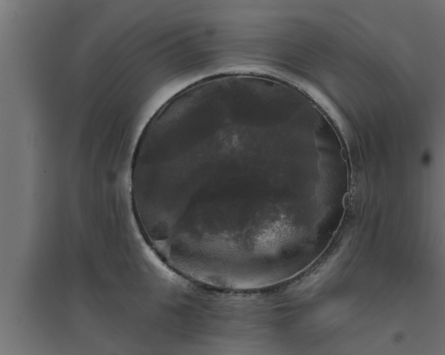 X0000094810951200711241442