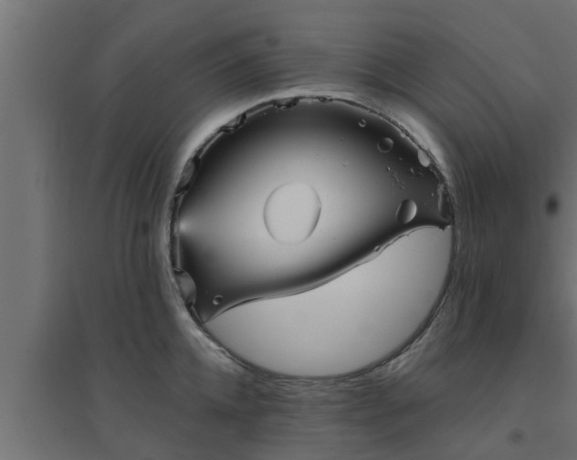 X0000094810952200711241442