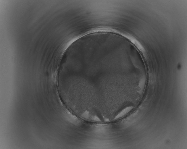 X0000094810953200711241443