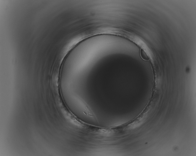 X0000094810954200711241443