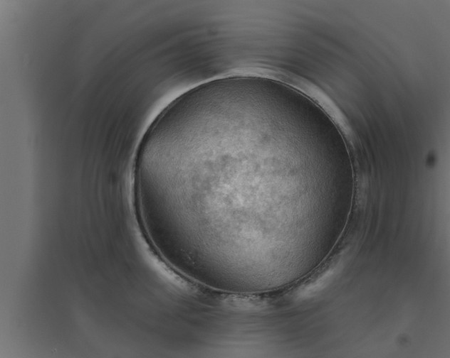 X0000094810955200711241443