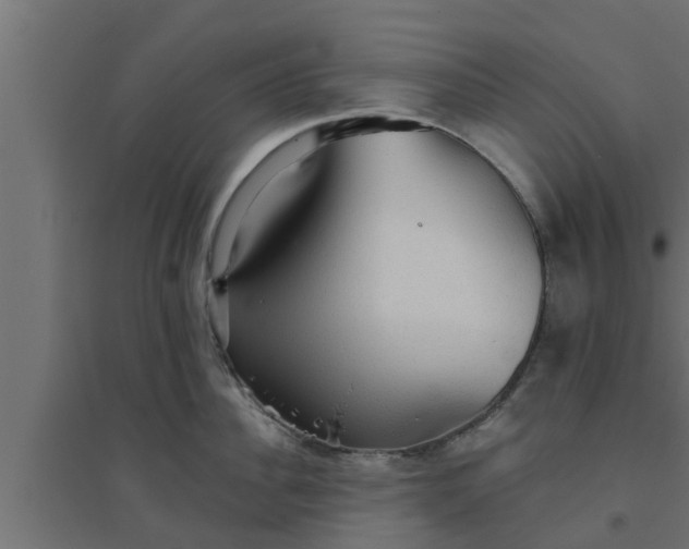 X0000094810956200711241443