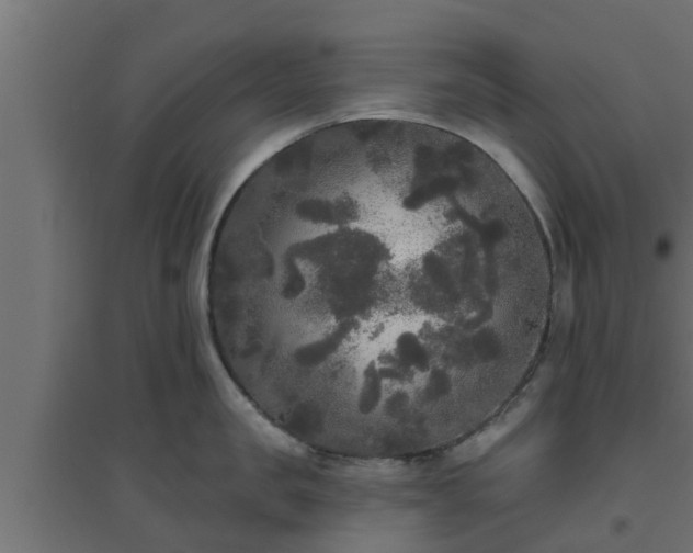 X0000094810957200711241443