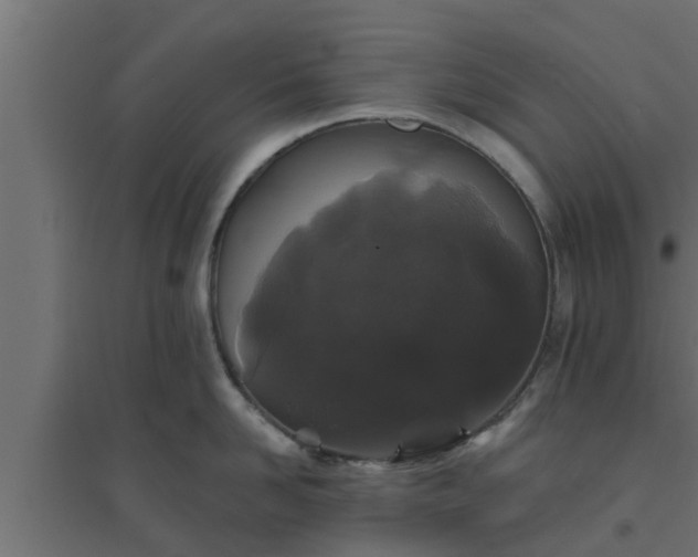 X0000094810958200711241443