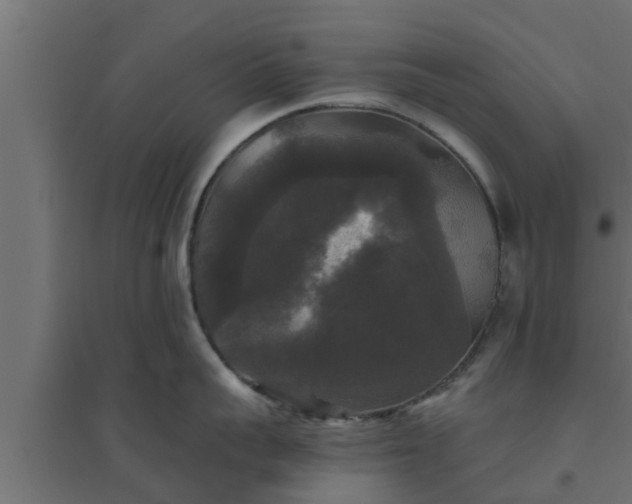 X0000094810959200711241443