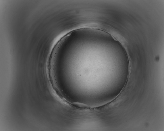 X0000094810960200711241443